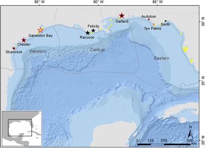 Spatial and individual factors mediate the tissue burden of polycyclic aromatic hydrocarbons in adult and chick brown pelicans in the northern Gulf of Mexico